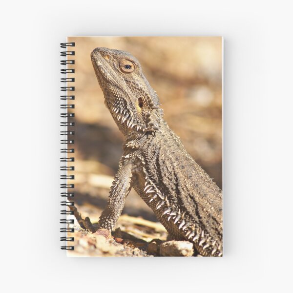 Item preview, Central Bearded Dragon - Side View designed and sold by clearviewstock.