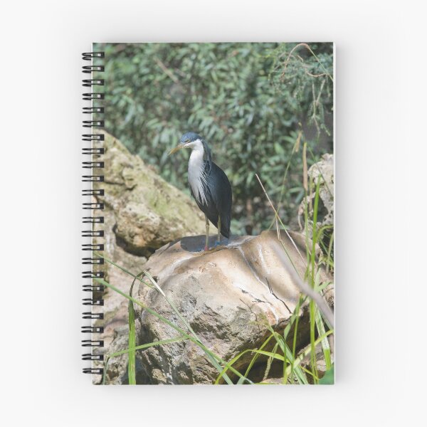 Item preview, Pied Heron on a rock designed and sold by clearviewstock.