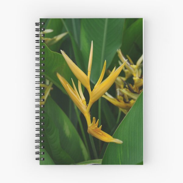 Aperçu de l'œuvre Yellow Heliconia Stems créée et vendue par clearviewstock.