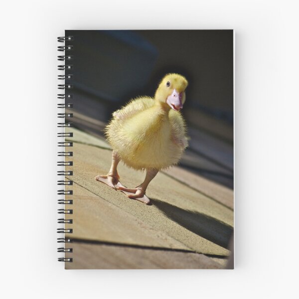 Item preview, Cheeky designed and sold by Extraordinary Light.