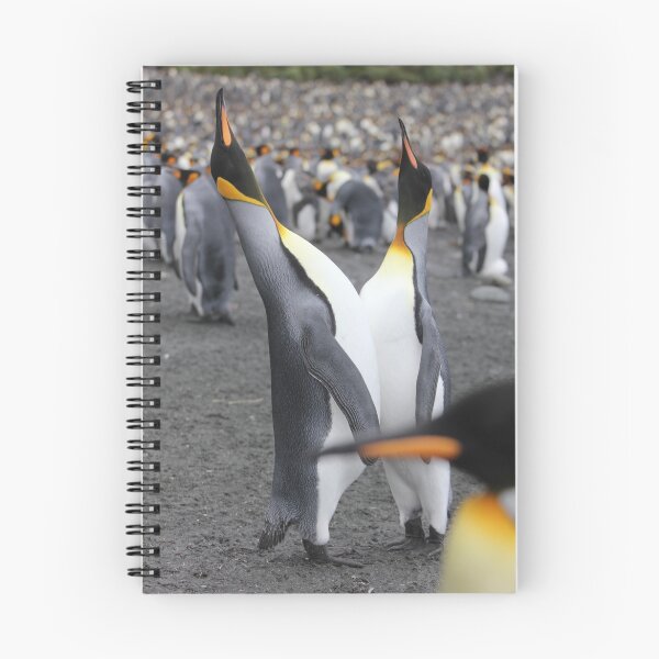 Item preview, King penguins courting designed and sold by Marion Joncheres.