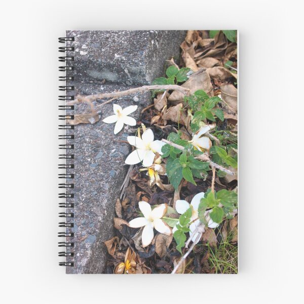 Item preview, Flowers of Comfort - Maui, Hawaii, United States  designed and sold by Diana Cox.
