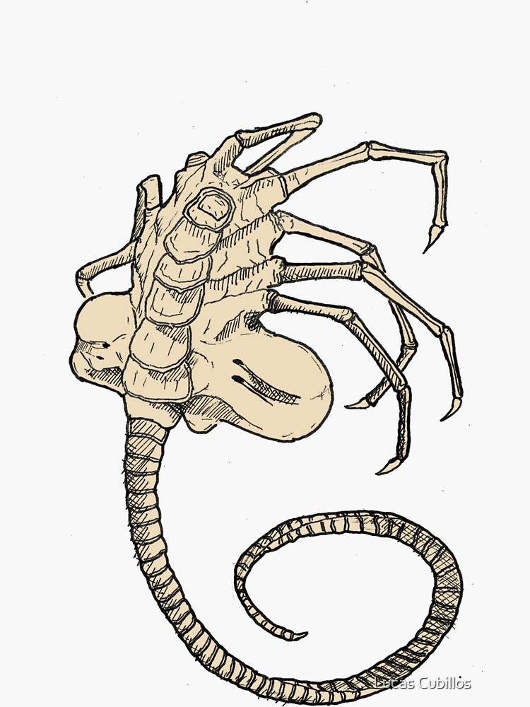 face hugger teddy
