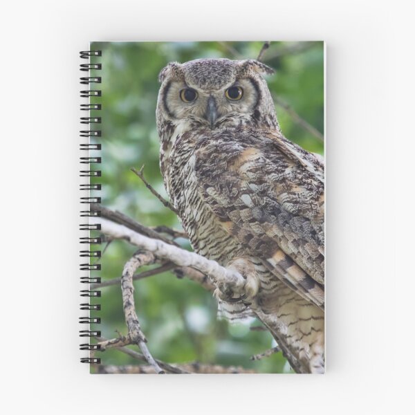 Item preview, Great Horned Owl designed and sold by eslingermj.