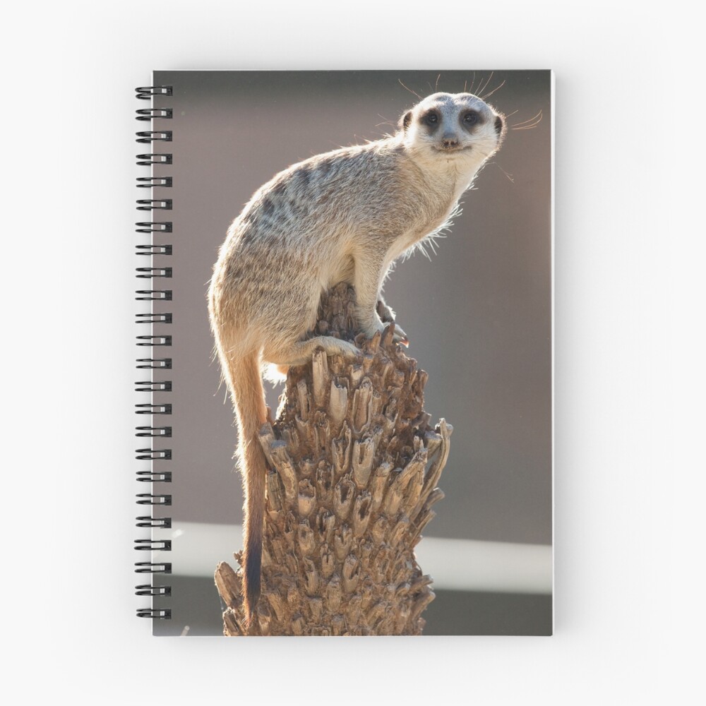 Item preview, Spiral Notebook designed and sold by Skeleton.