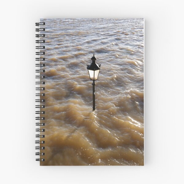 Item preview, Flooding on the Rhine, Germany. designed and sold by David A. L. Davies.