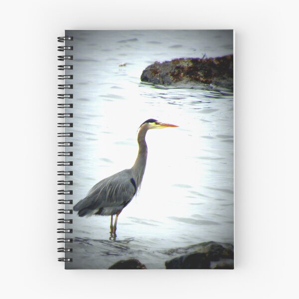 Item preview, Beach Big Bird designed and sold by tmtphotography.