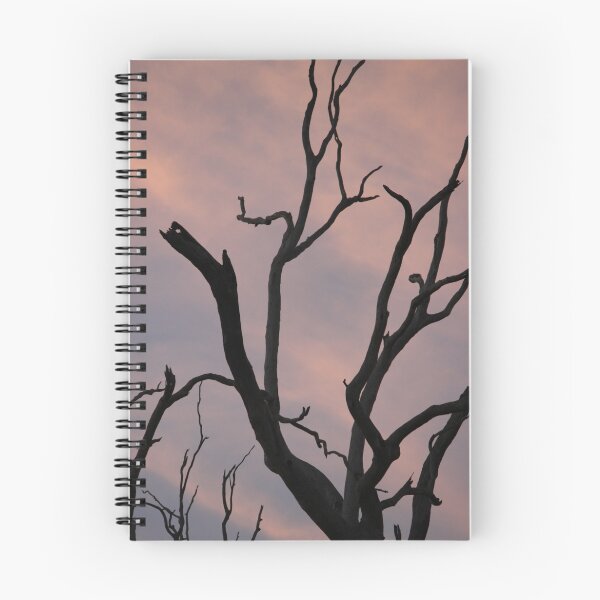 Item preview, Sun setting on a dead tree designed and sold by Cassandra Purkiss.