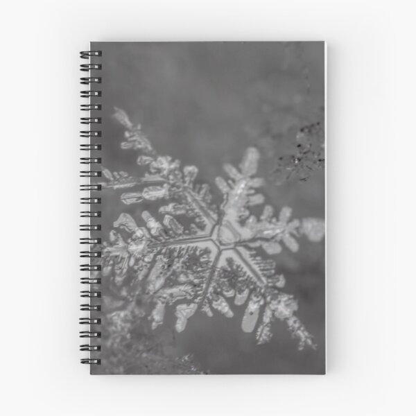 Item preview, A shiny snowflake designed and sold by eslingermj.