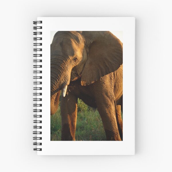 Item preview, Serie 'Bajo los cielos africanos' designed and sold by Steph Ball.