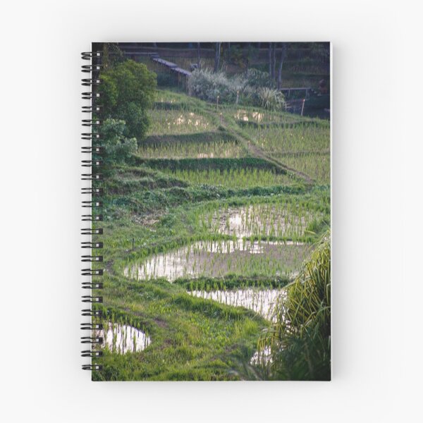 Item preview, Chiang Mai Rice Paddies designed and sold by phil decocco.