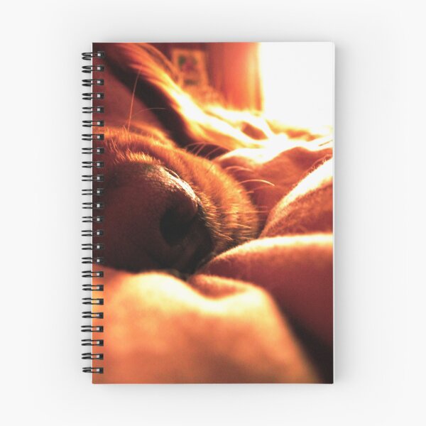 Item preview, Lexie designed and sold by Nederlander.