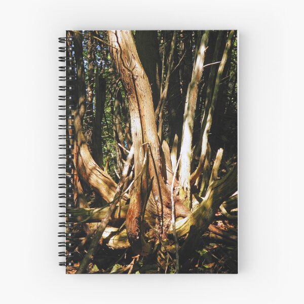 Item preview, roots designed and sold by Nederlander.