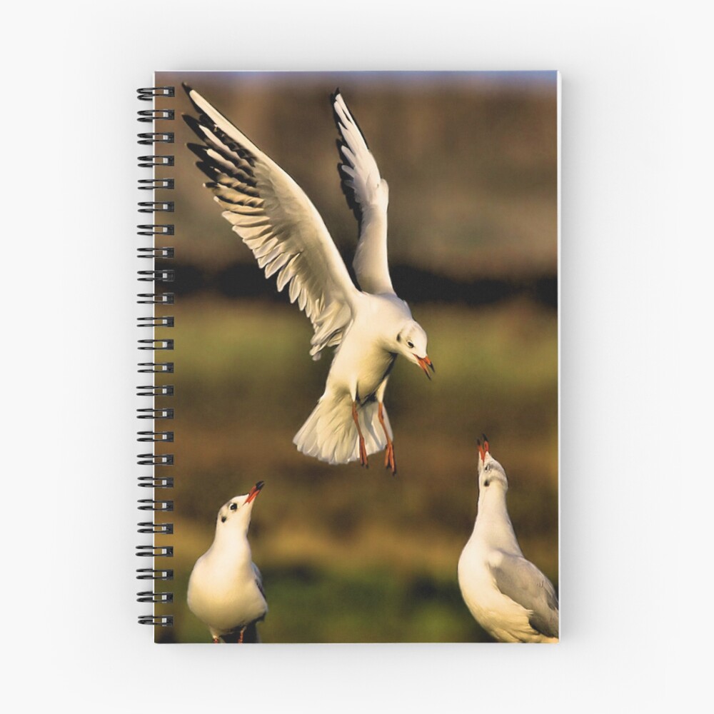 Item preview, Spiral Notebook designed and sold by Pixelbloke.