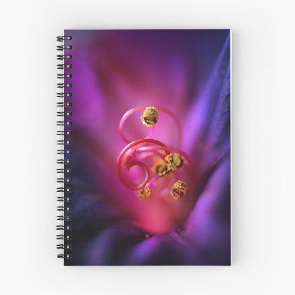 Item preview, floral morphology designed and sold by 275photography.
