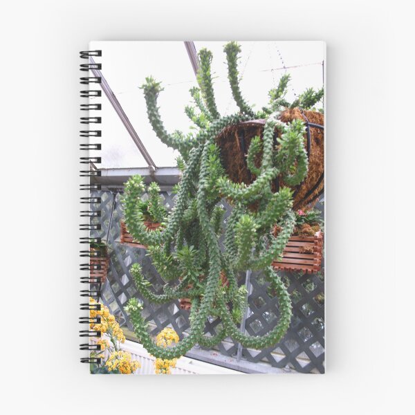 Item preview, Coat check Cactus designed and sold by MarianBendeth.