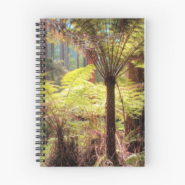 Item preview, Dandenong Ranges National Park designed and sold by John Bullen.