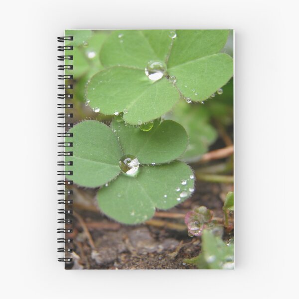 Item preview, Clovers after Rain designed and sold by Pandrot.