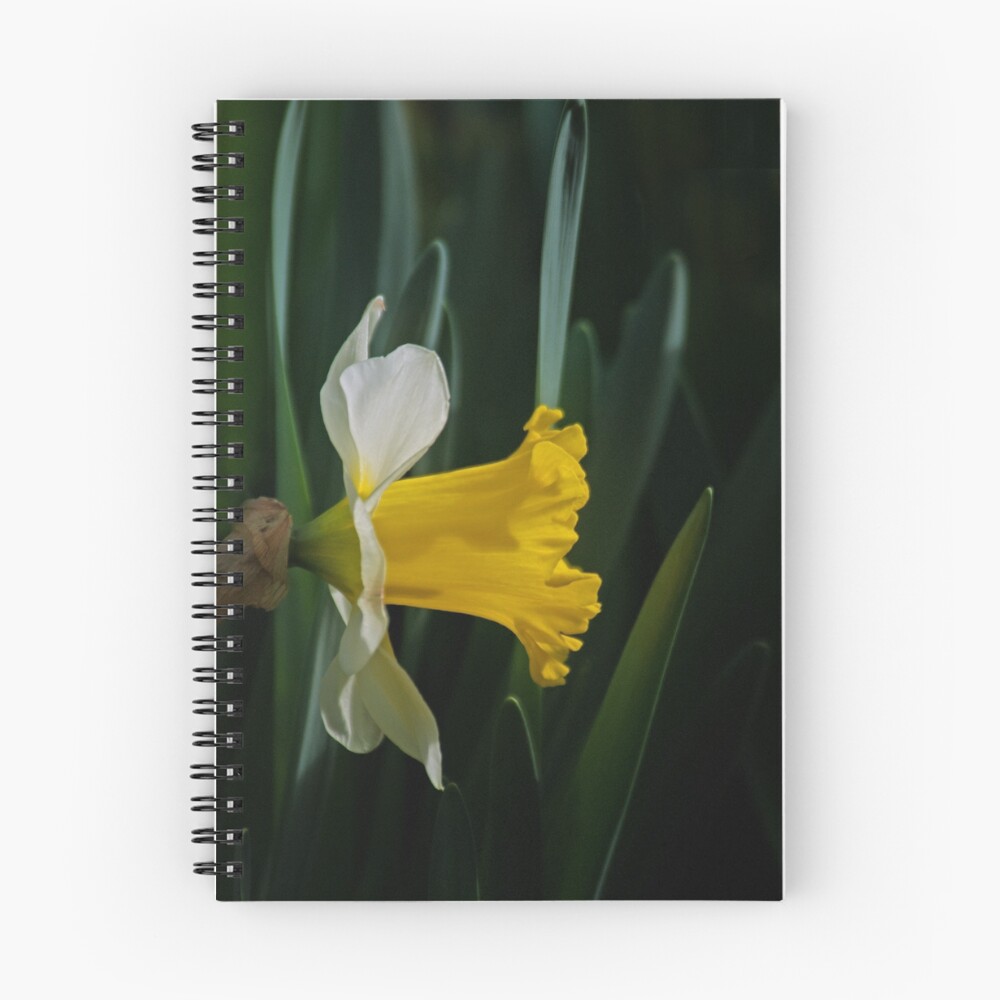 Item preview, Spiral Notebook designed and sold by Rodney55.