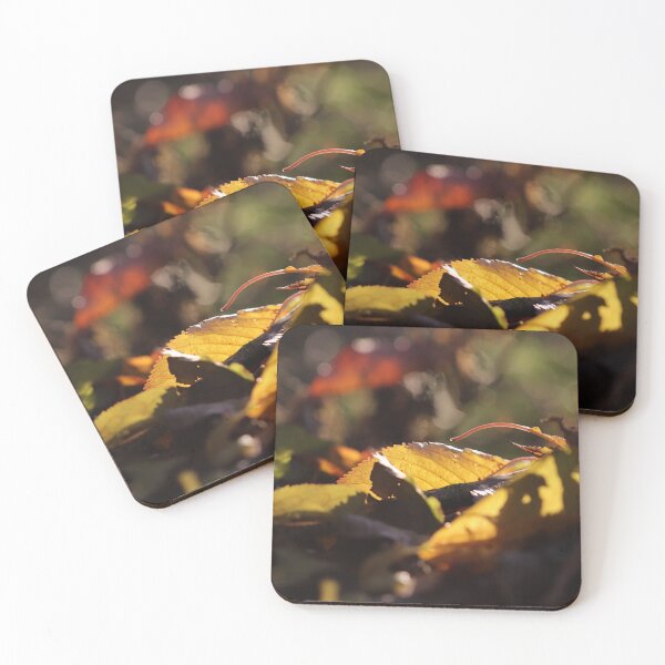 Item preview, Autumn Leaves IV designed and sold by cuprum.