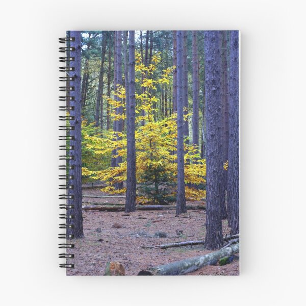 Item preview, beech tree in a pine wood designed and sold by Doug McRae.