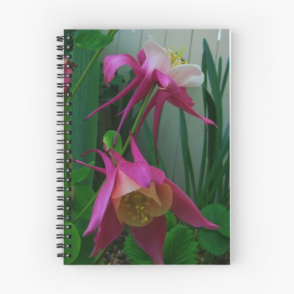 Item preview, Prelude to a Romance (Poetry in Description) designed and sold by Honario.