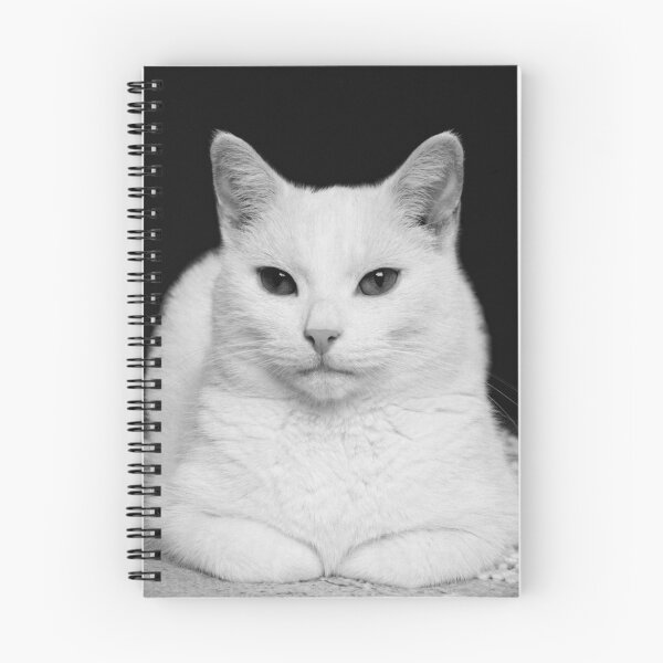 Item preview, Feline Study designed and sold by Sally Green.