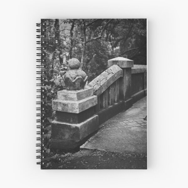 Item preview,  AGFA APX100 designed and sold by Stefan Kutsarov.