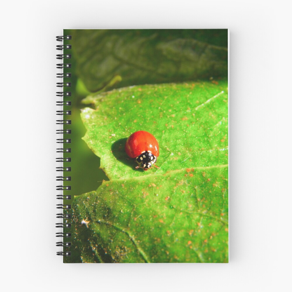 Item preview, Spiral Notebook designed and sold by Pandrot.
