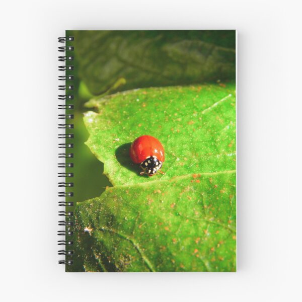 Item preview, Ladybug designed and sold by Pandrot.