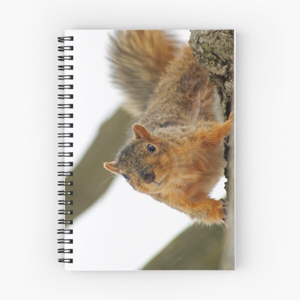 Item preview, I'm Watching You designed and sold by Richard Williams.