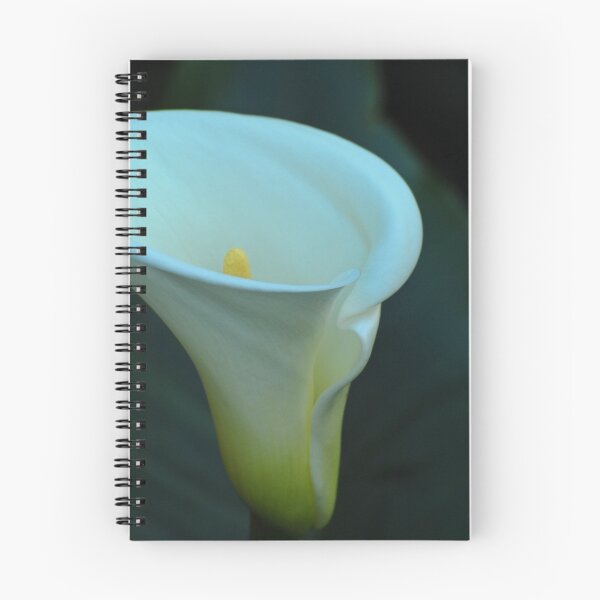 Item preview, Silky designed and sold by photojeanic.