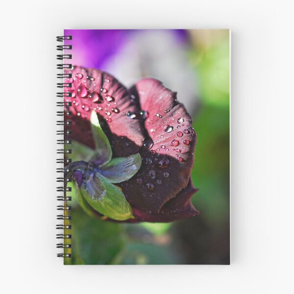 Item preview, After the Rain designed and sold by Saija  Lehtonen.
