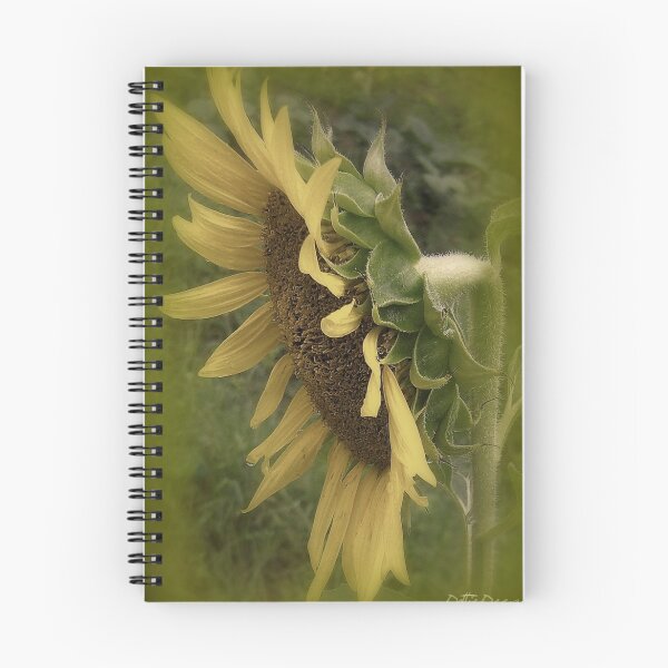 Item preview, Remembering Sunshine designed and sold by DottieDees.