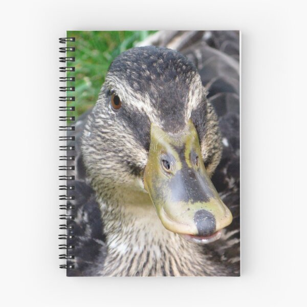 Artikelvorschau, Female Mallard  entworfen und verkauft von CavyGirl.