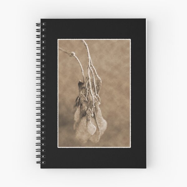 Item preview, Maple Seeds designed and sold by Roswitha Lorz.