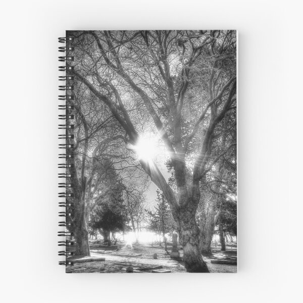Item preview, Glorious sun has returned designed and sold by Nick  Kenrick Photography.