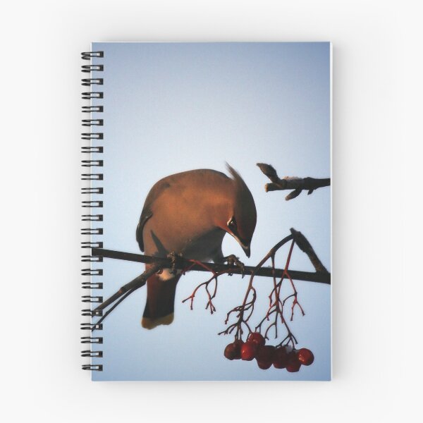 Item preview, Bohemian Waxwing contemplating a mountain ash berry designed and sold by May-Le Ng.
