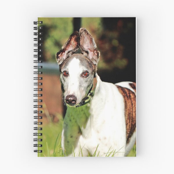 Item preview, Cowboy seeza wabbit! designed and sold by GreyhoundSN.