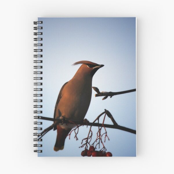 Item preview, Bohemian Waxwing in Mountain Ash designed and sold by May-Le Ng.