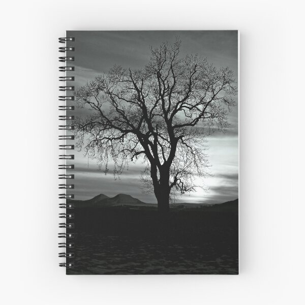 Item preview, Exposed designed and sold by Aj Finan.