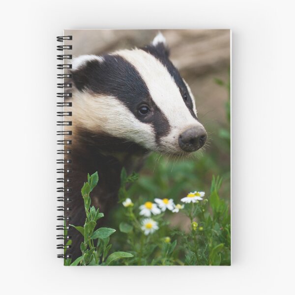 Item preview, Badger Portrait designed and sold by Peter Denness.