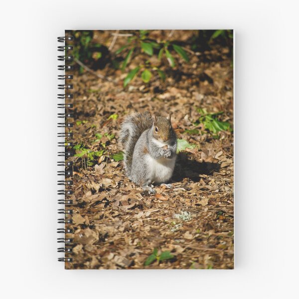 Item preview, Searchin' for Nuts designed and sold by Kimberly Deverell.