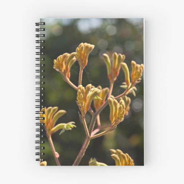 Item preview, Native Plant #2 - Yellow Kangaroo Paw (Anigozanthos  flavidus) designed and sold by Odille Esmonde-Morgan.