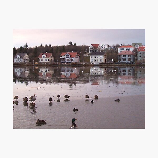 Item preview, View across 'The Pond' Central Reykjavic designed and sold by Colin Morley.