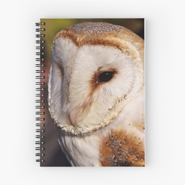 Item preview, Barn owl portrait designed and sold by Shaun Whiteman.