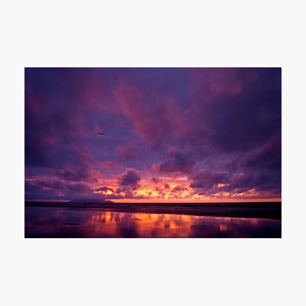 Glide Photographic Print