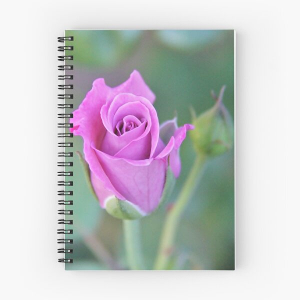 Item preview, Love at First Sight designed and sold by MyPerspective.