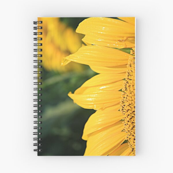 Item preview, Sunflower designed and sold by warrenbrown.