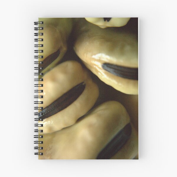 Item preview, Lima Beans also known as butter beans designed and sold by AbsintheFairy.